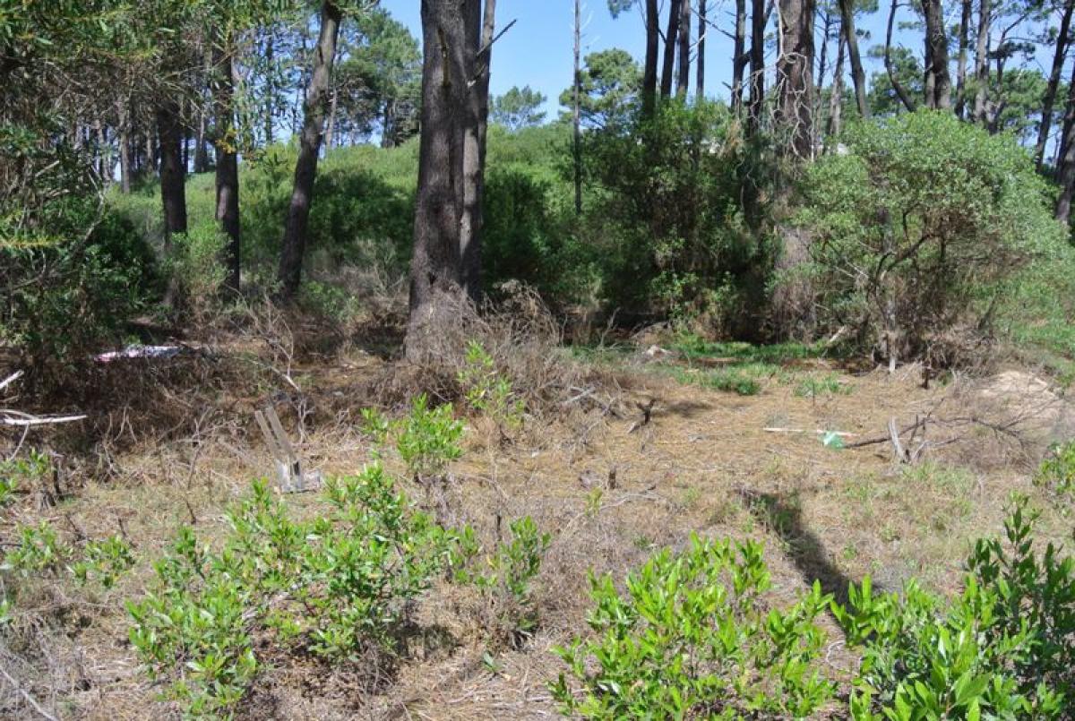  Land in Maldonado, Uruguay No. 15434