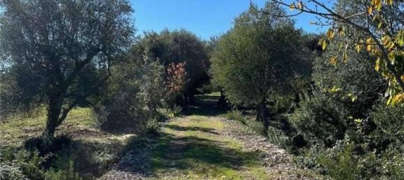 5-Zimmer Haus in Ceglie Messapica, Italy, Nr. 143878 7