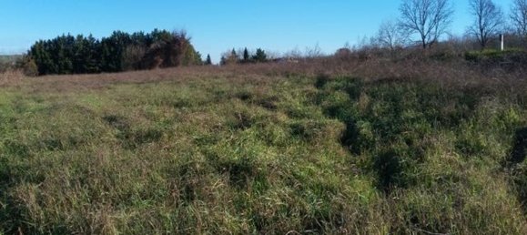 Земельный участок 19817м² в Сиена, Италия № 35187 7