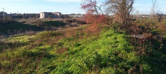 Земельный участок 19817м² в Сиена, Италия № 35187 18