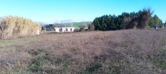 Земельный участок 19817м² в Сиена, Италия № 35187 19