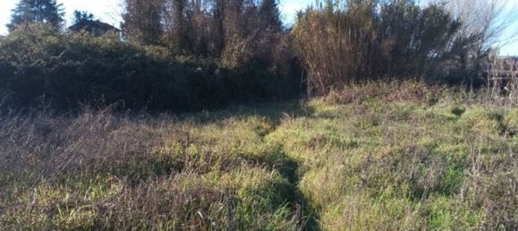 Земельный участок 19817м² в Сиена, Италия № 35187 17