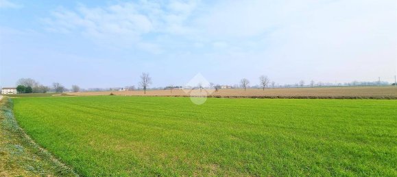 4 bedrooms House in Bagnolo San Vito, Italy No. 113303 42