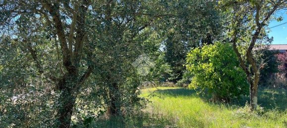 قطعة أرض في Bomarzo, Italy 1455متر مربع رقم 273199 12