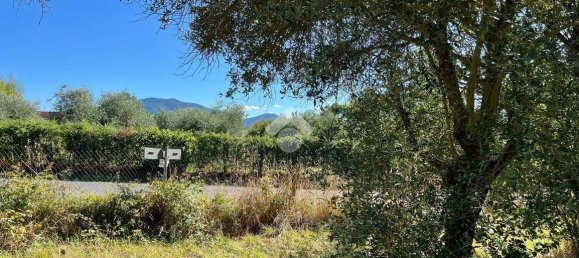 قطعة أرض في Bomarzo, Italy 1455متر مربع رقم 273199 10