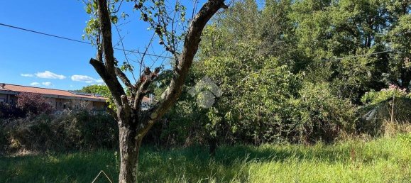 قطعة أرض في Bomarzo, Italy 1455متر مربع رقم 273199 11