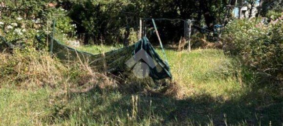 قطعة أرض في Bomarzo, Italy 1455متر مربع رقم 273199 6