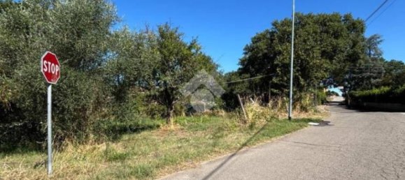 قطعة أرض في Bomarzo, Italy 1455متر مربع رقم 273199 2
