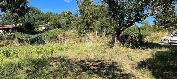 قطعة أرض في Bomarzo, Italy 1455متر مربع رقم 273199 13