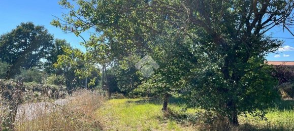 قطعة أرض في Bomarzo, Italy 1455متر مربع رقم 273199 14