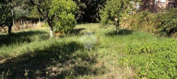 قطعة أرض في Bomarzo, Italy 1455متر مربع رقم 273199 5