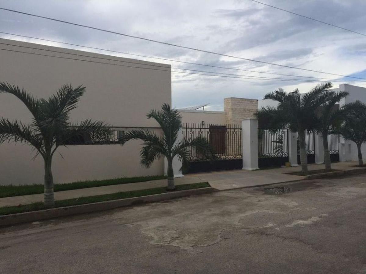 Casa T3 em Merida, Mexico N.º 84896