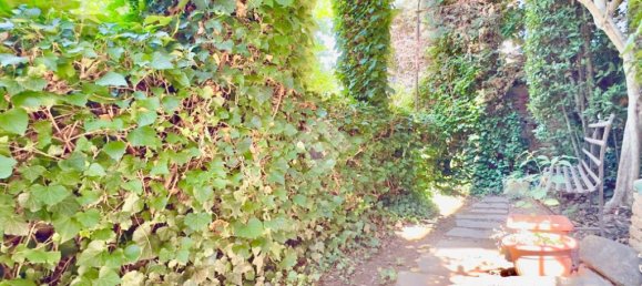 4 bedrooms House in Pasturana, Italy No. 300010 7