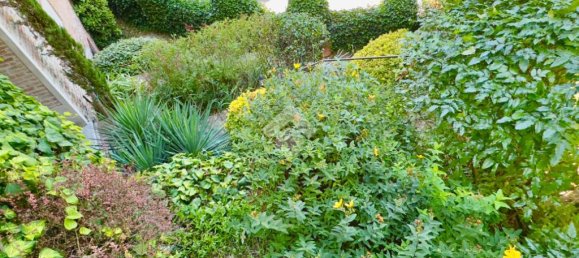 4 bedrooms House in Pasturana, Italy No. 300010 8