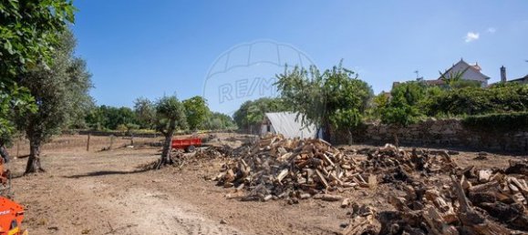 9 bedrooms House in Carregal do Sal, Portugal No. 185831 33