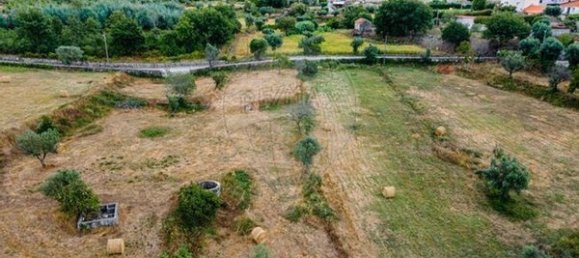 9 bedrooms House in Carregal do Sal, Portugal No. 185831 13