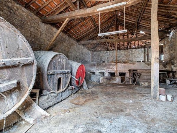 9 bedrooms House in Carregal do Sal, Portugal No. 185831