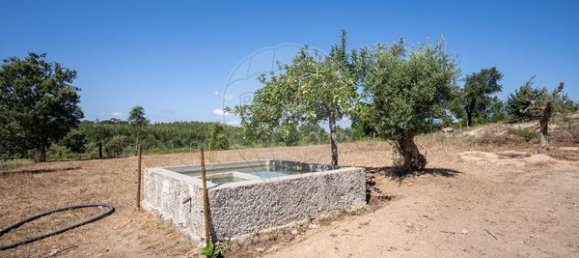 9 bedrooms House in Carregal do Sal, Portugal No. 185831 34