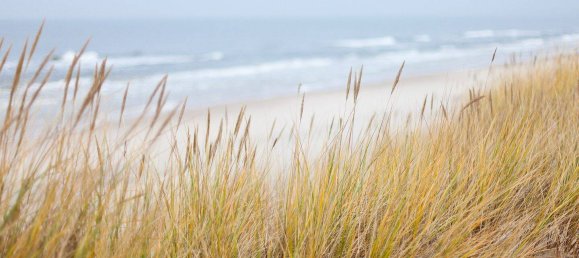 1 Schlafzimmer Wohnung in Ostholstein, Germany, Nr. 315169 19