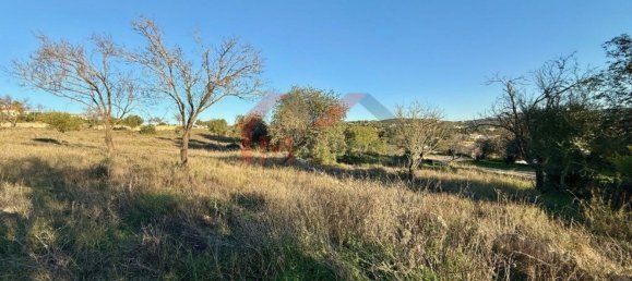 9770m² Land in Loule, Portugal No. 120272 3