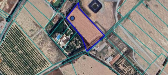 Grundstück in Meneou, Cyprus 8935m², Nr. 26959 2