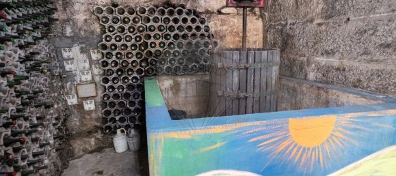 Дом с 4 спальнями в Силвареш, Португалия № 38142 9