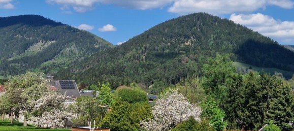 6 rooms House in Neunkirchen, Austria No. 57014 23