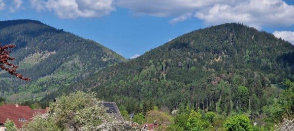 6 rooms House in Neunkirchen, Austria No. 57014 19