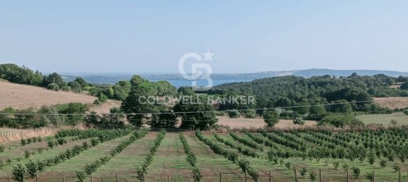 6-salle Villa à Sutri, Italy No. 169757 2