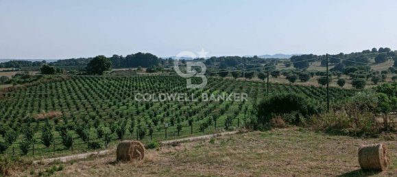 6-salle Villa à Sutri, Italy No. 169757 17