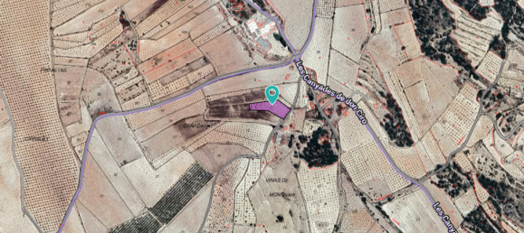  Land in Monovar, Spain No. 189105 3