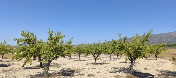  Land in Monovar, Spain No. 189105 8