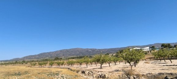  Land in Monovar, Spain No. 189105 4