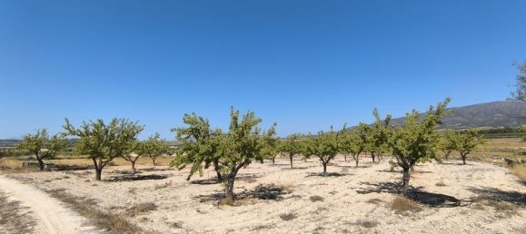  Land in Monovar, Spain No. 189105 7