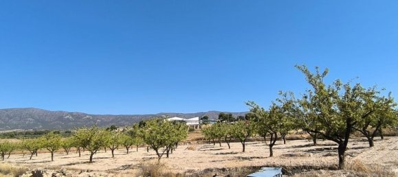  Land in Monovar, Spain No. 189105 5