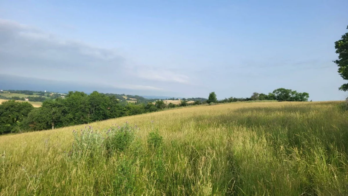 Grundstück in Samatan, France, Nr. 82898