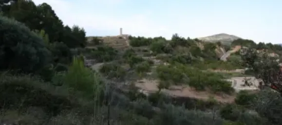 328m² Land in Murla, Spain No. 79740 10