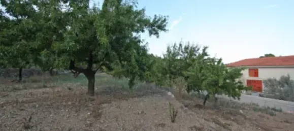 328m² Land in Murla, Spain No. 79740 6