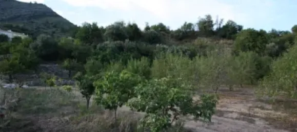 328m² Land in Murla, Spain No. 79740 9