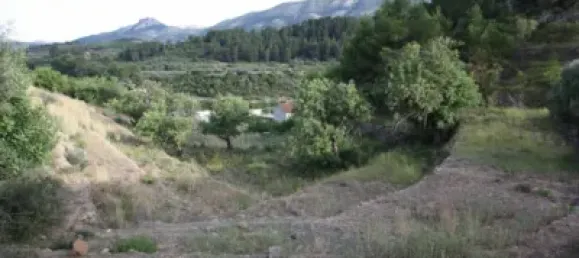 328m² Land in Murla, Spain No. 79740 8
