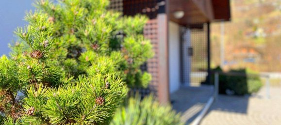 3غرفة منزل في Radenthein, Austria رقم 167859 26