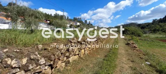 7150m² Land in Coimbra, Portugal No. 185738 8