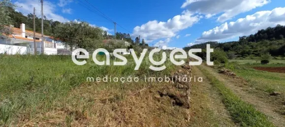 7150m² Land in Coimbra, Portugal No. 185738 13