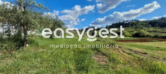 7150m² Land in Coimbra, Portugal No. 185738 6