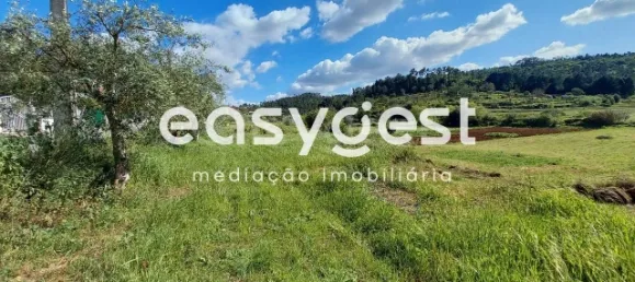 7150m² Land in Coimbra, Portugal No. 185738 5