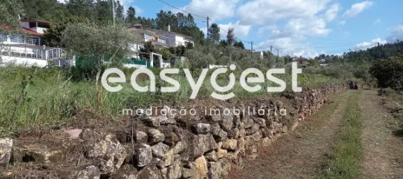 7150m² Land in Coimbra, Portugal No. 185738 7