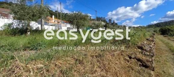 7150m² Land in Coimbra, Portugal No. 185738 12