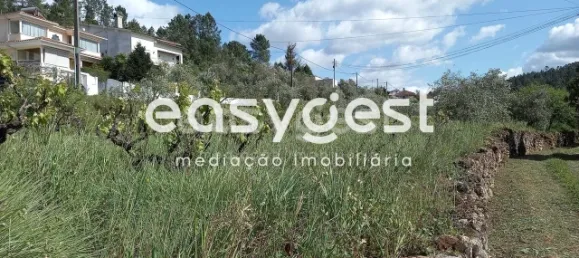 7150m² Land in Coimbra, Portugal No. 185738 10