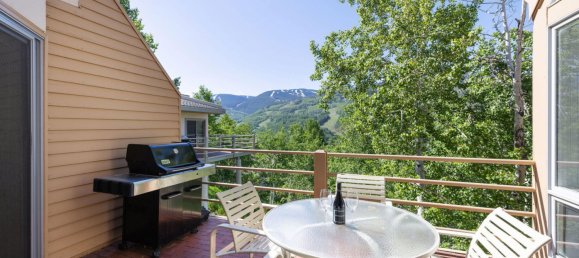 3 bedrooms Cafe / restaurant in Vail, USA No. 560145 13