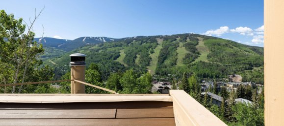 3 bedrooms Cafe / restaurant in Vail, USA No. 560145 5